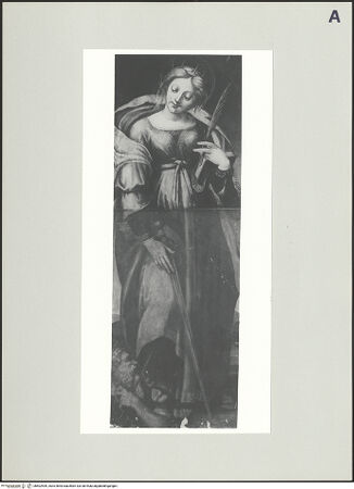 Vorderseite von bh502409_recto