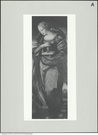 Vorderseite von bh502415_recto