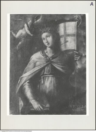 Vorderseite von bh502422_recto