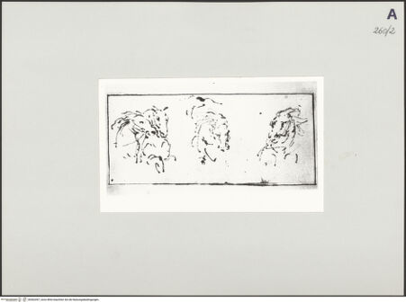 Vorderseite von bh502497_recto