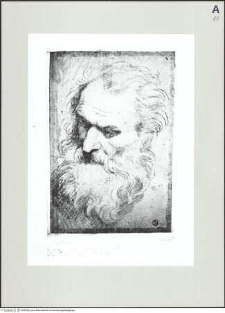 Vorderseite von bh502526_recto