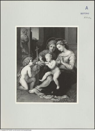 Vorderseite von bh502551_recto