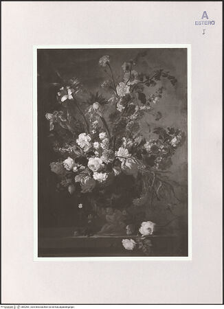 Vorderseite von bh502561_recto