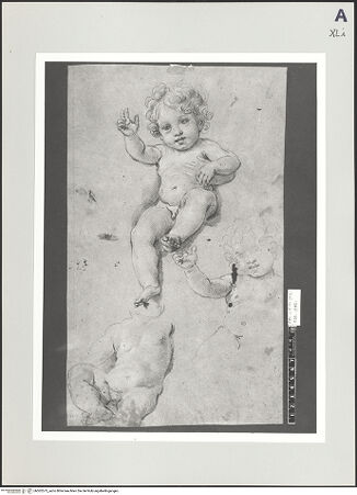 Vorderseite von bh502573_recto