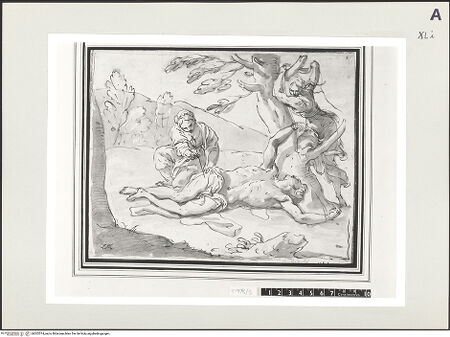 Vorderseite von bh502574_recto