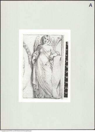 Vorderseite von bh502601_recto