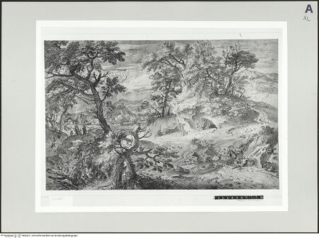 Vorderseite von bh502611_recto