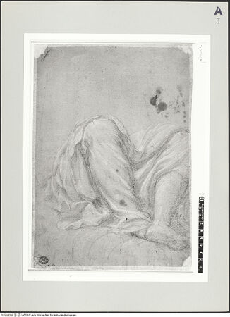 Vorderseite von bh502617_recto