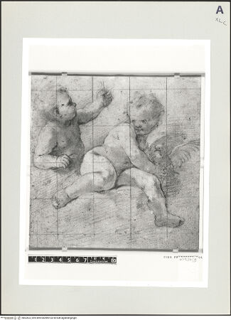 Vorderseite von bh502623_recto