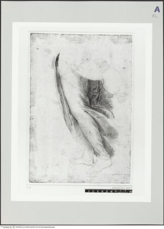 Vorderseite von bh502665_recto