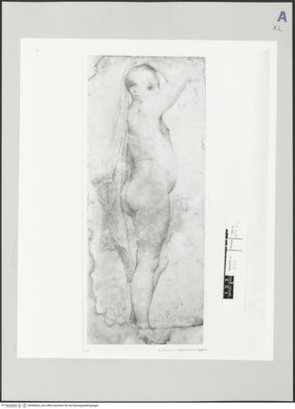 Vorderseite von bh502666_recto