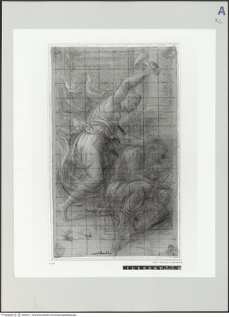 Vorderseite von bh502671_recto