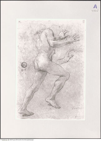 Vorderseite von bh502720_recto