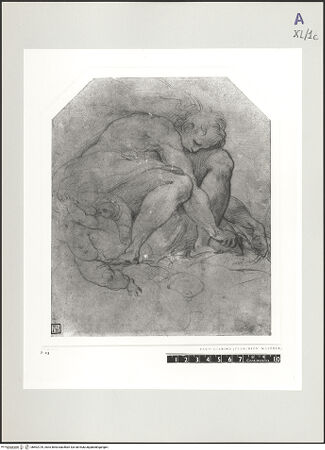 Vorderseite von bh502729_recto