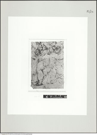 Vorderseite von bh502730_recto