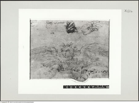 Vorderseite von bh502732_recto