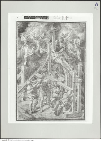 Vorderseite von bh502739_recto