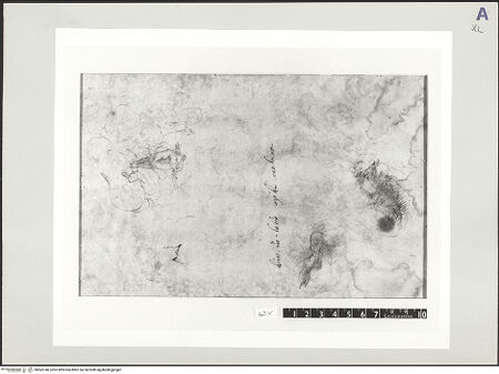 Vorderseite von bh502740_recto