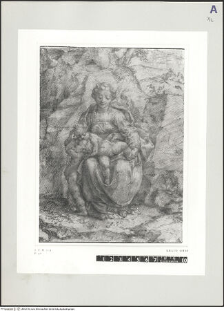 Vorderseite von bh502745_recto