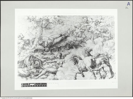 Vorderseite von bh502746_recto