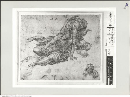 Vorderseite von bh502749_recto