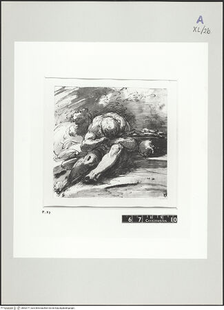 Vorderseite von bh502777_recto