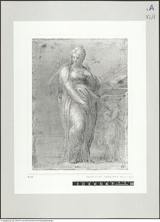 Vorderseite von bh502781_recto