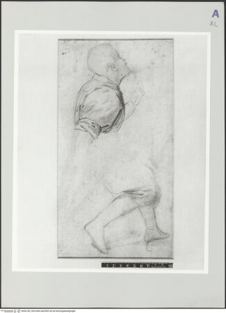 Vorderseite von bh502782_recto