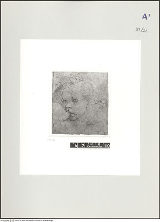 Vorderseite von bh502783_recto