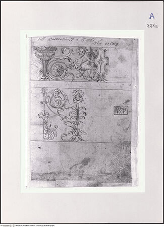 Vorderseite von Réunion des Musées Nationaux [https://www.deutsche-digitale-bibliothek.de/content/lizenzen/rv-ez/] Friesstudien - , bh502839_recto. Foto.