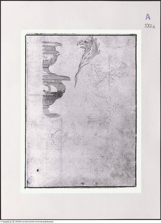 Vorderseite von Réunion des Musées Nationaux [https://www.deutsche-digitale-bibliothek.de/content/lizenzen/rv-ez/] Studien einer Vase und eines Greifenkopfes - , bh502849_recto. Foto.