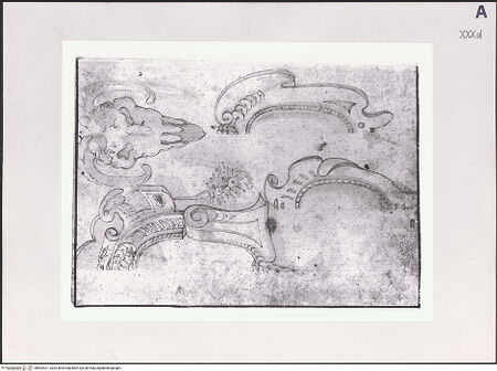 Vorderseite von Réunion des Musées Nationaux [https://www.deutsche-digitale-bibliothek.de/content/lizenzen/rv-ez/] Studie zweier Kartuschen und eines Bukranion - , bh502921_recto. Foto.