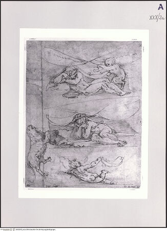 Vorderseite von bh502925_recto