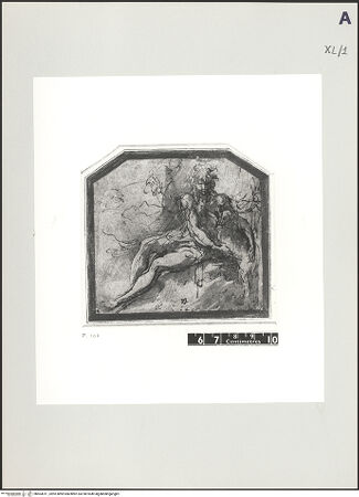 Vorderseite von bh503011_recto