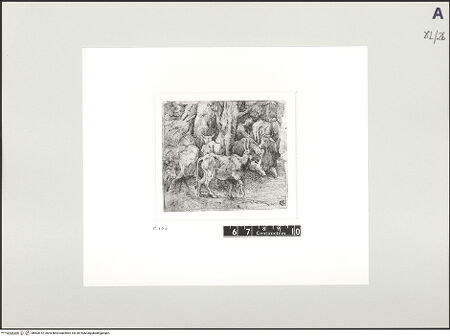 Vorderseite von bh503012_recto