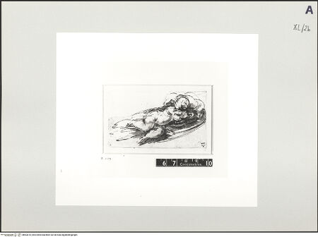 Vorderseite von bh503013_recto