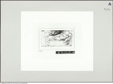 Vorderseite von bh503015_recto