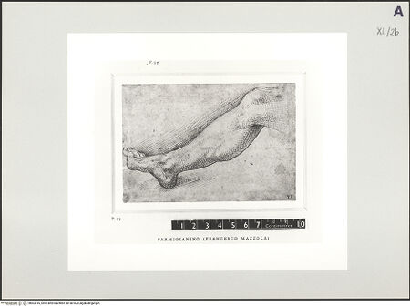 Vorderseite von bh503016_recto