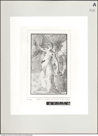 Vorderseite von bh503018_recto