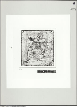 Vorderseite von bh503019_recto