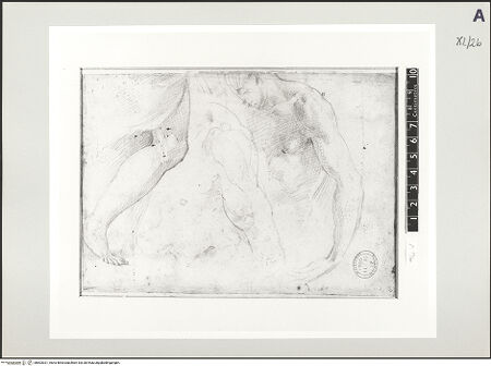 Vorderseite von bh503021_recto