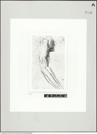 Vorderseite von bh503024_recto