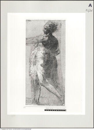 Vorderseite von bh503027_recto