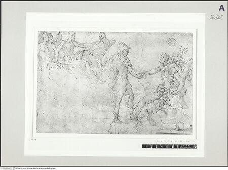 Vorderseite von bh503028_recto