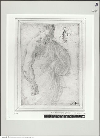 Vorderseite von bh503029_recto