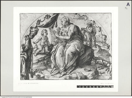 Vorderseite von bh503033_recto