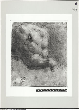 Vorderseite von bh503035_recto