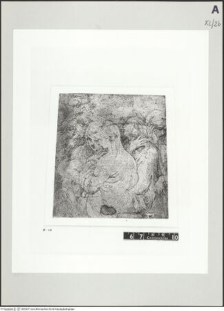 Vorderseite von bh503037_recto