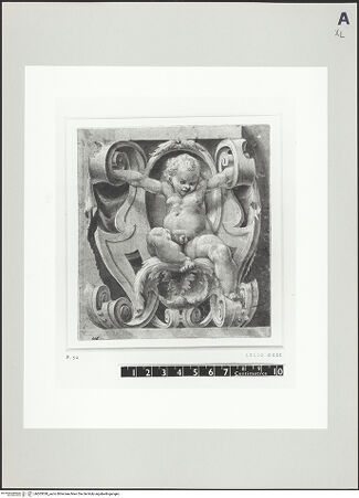 Vorderseite von bh503038_recto