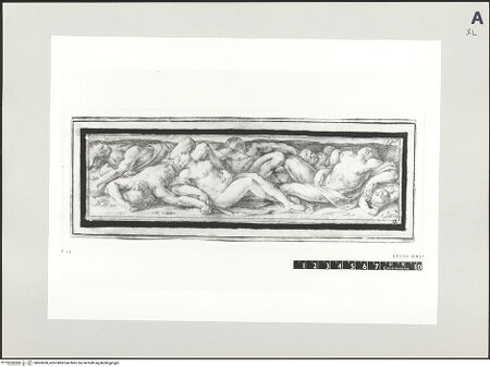 Vorderseite von bh503039_recto